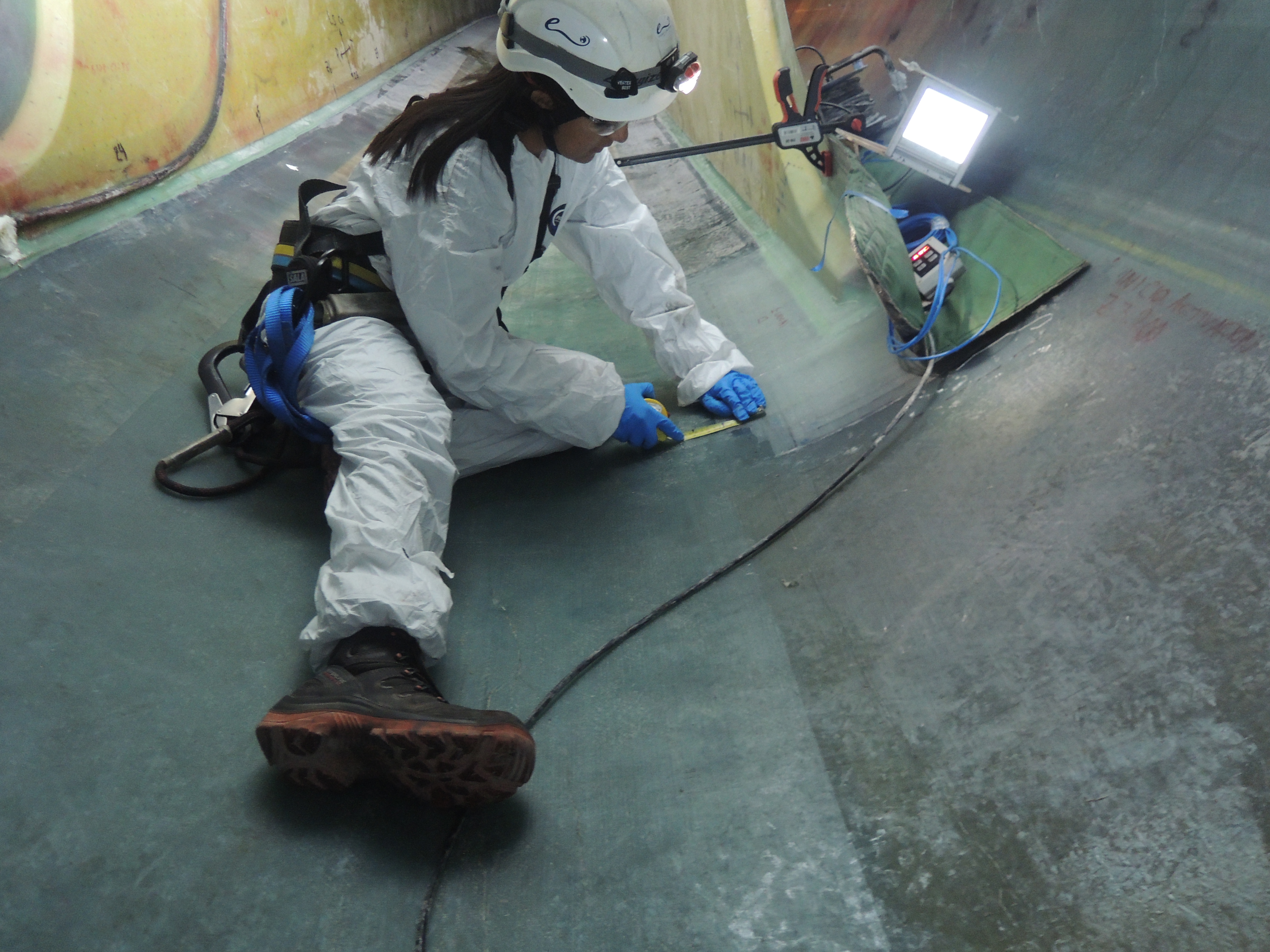 Descripción de la imagen